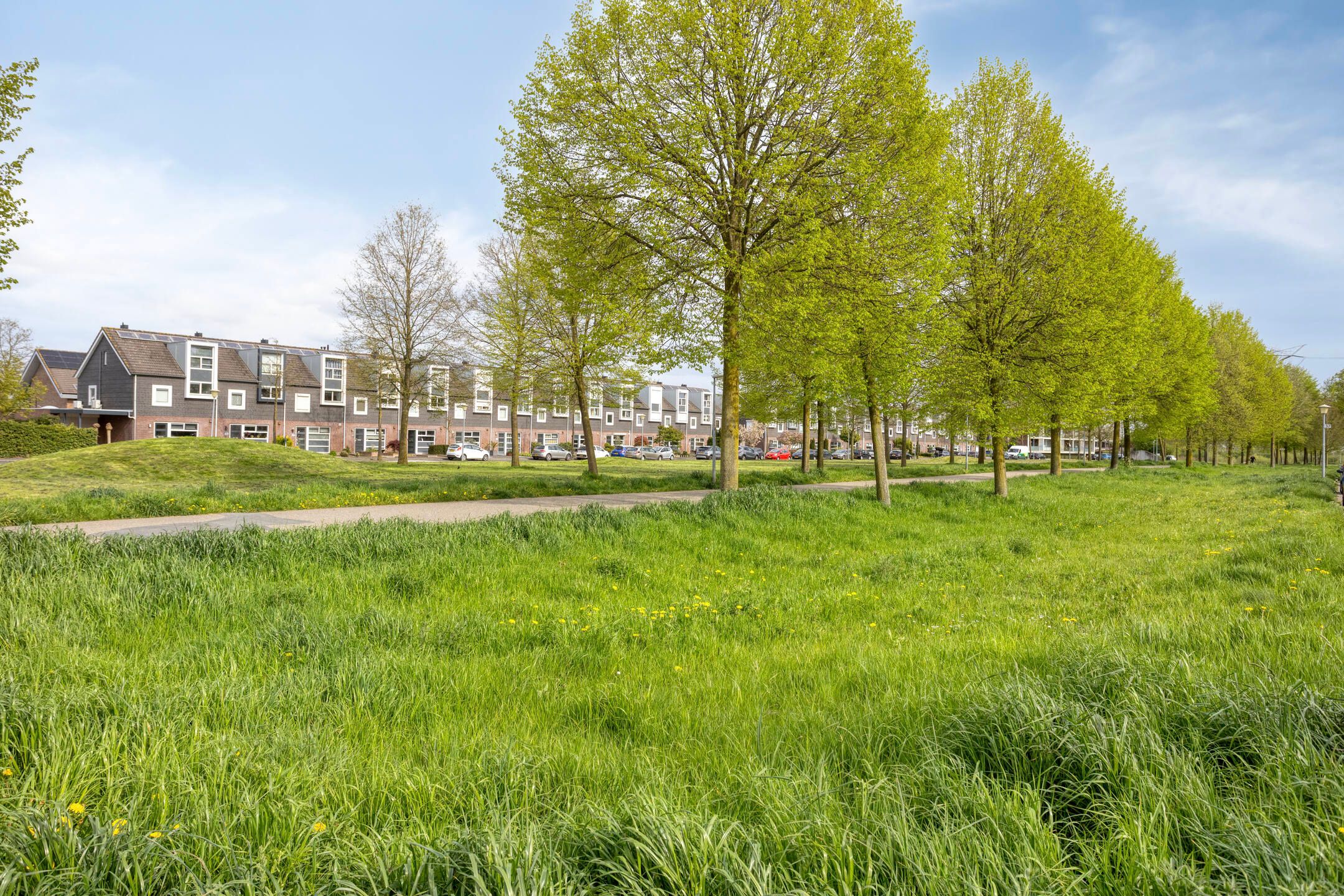 Foto 30 van de Flier 3521