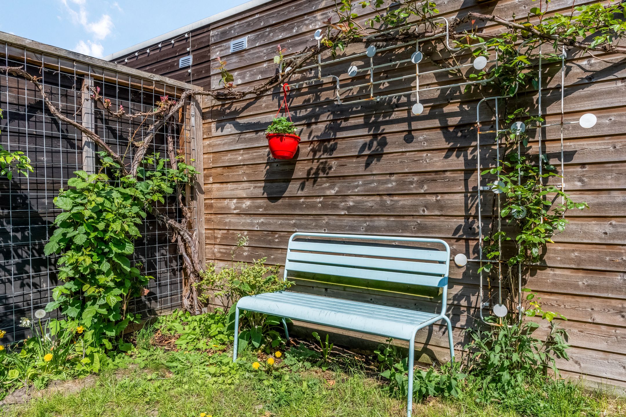 Foto 27 van Esdoornlaan 25