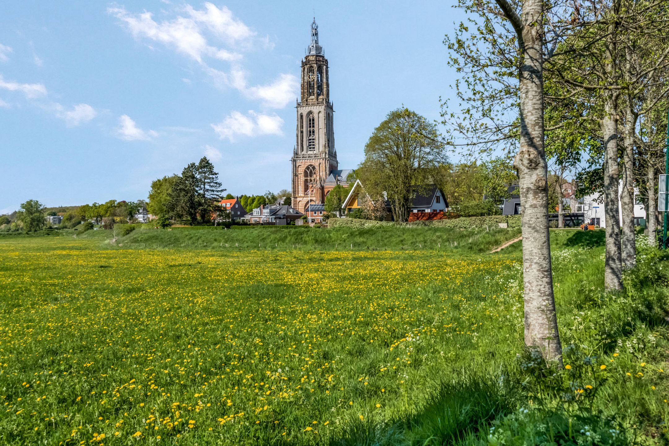 Foto 30 van Esdoornlaan 25