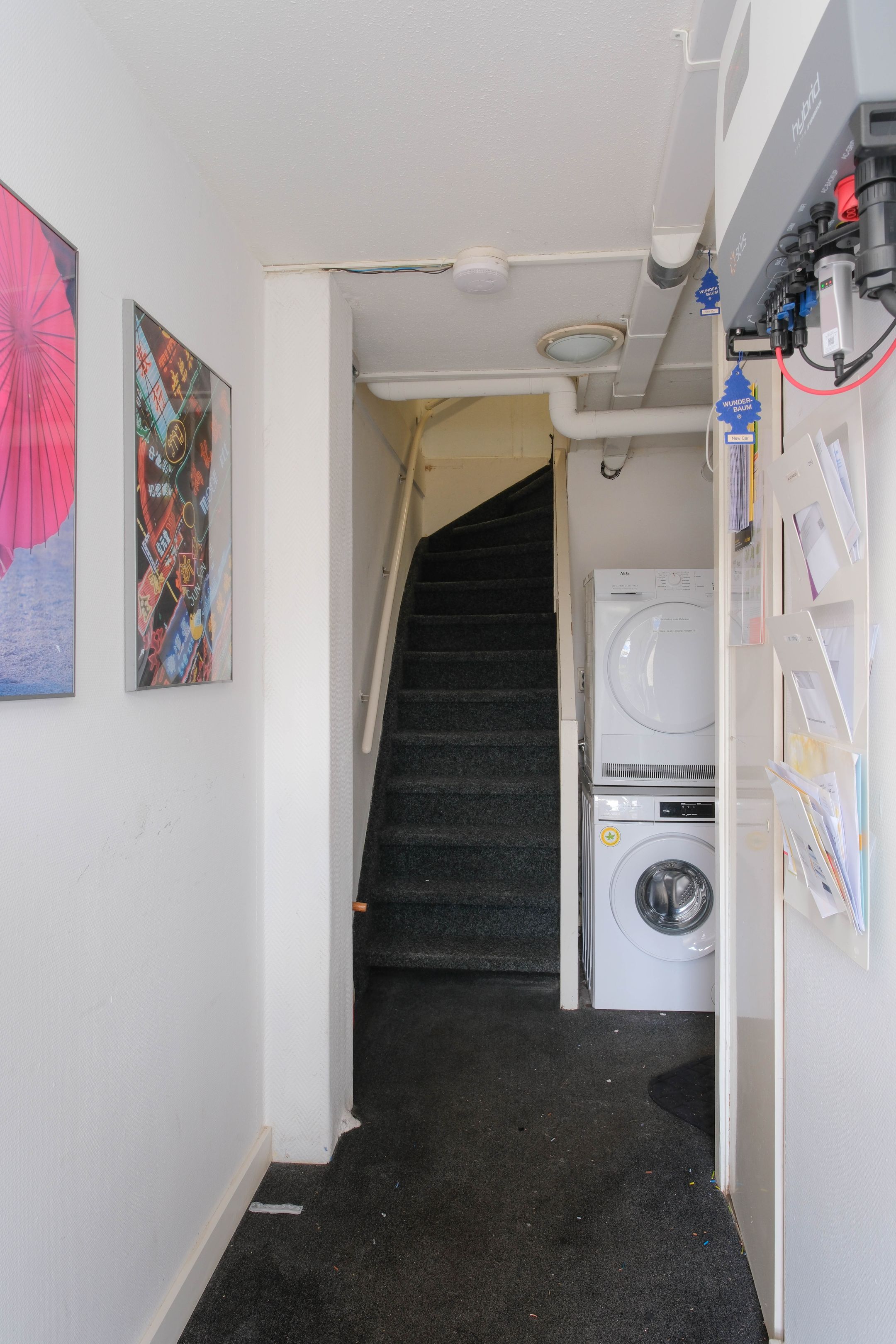 Foto 6 van Auskamplanden 219-1