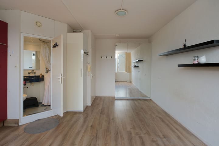 Foto 5 van Auskamplanden 219-1