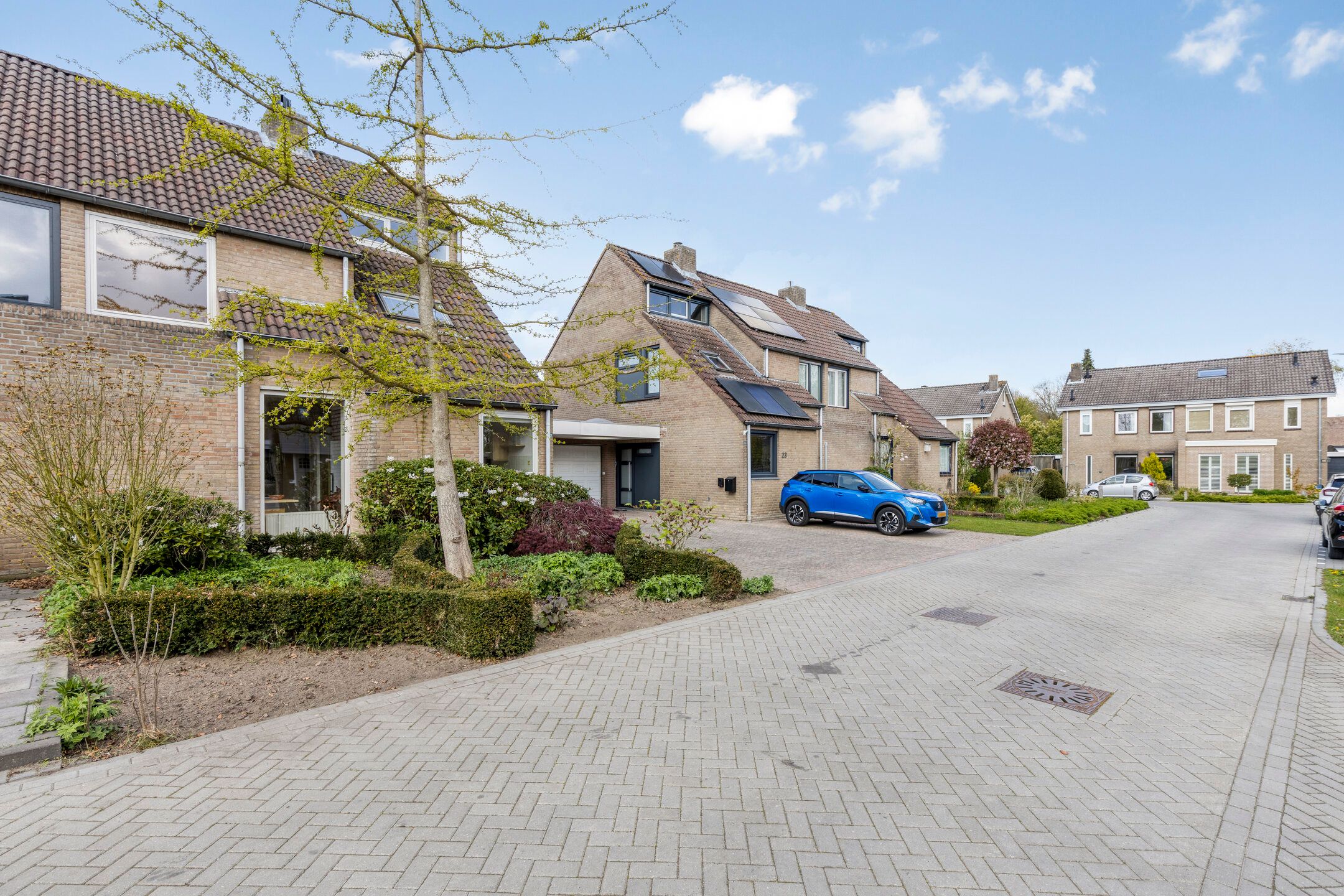 Photo 48 of Wilgenlaan 21
