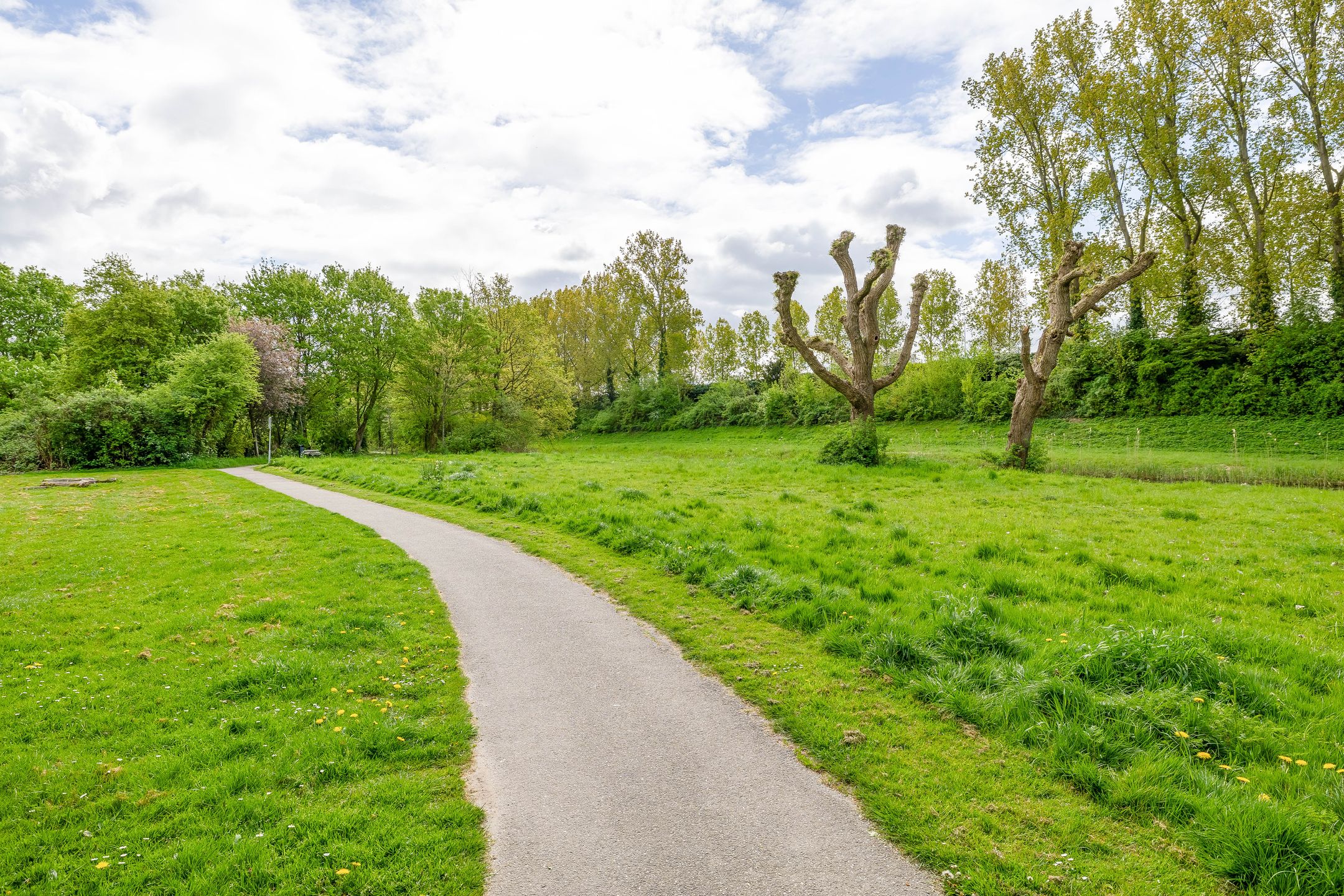 Foto 42 van Merwedepad 41