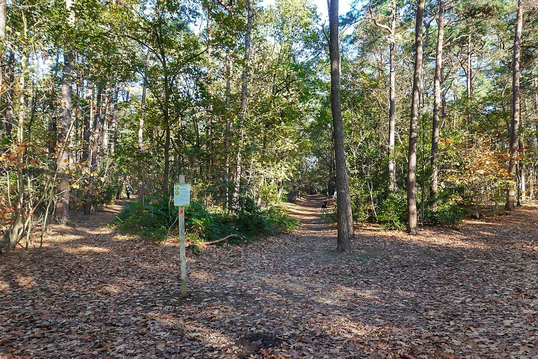 Photo 92 of Oudewegselaan 5