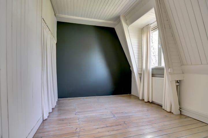 Foto 4 van Regentesseplantsoen 13