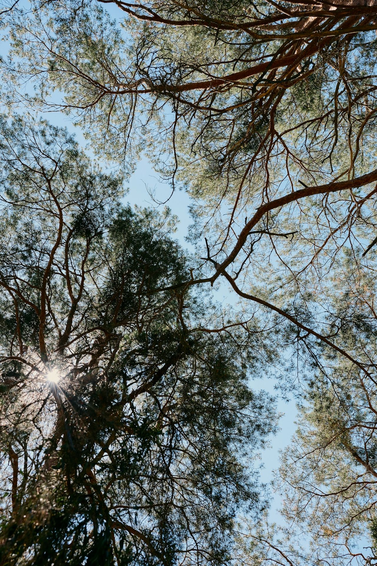 Foto 5 van Surinamepad 76-C