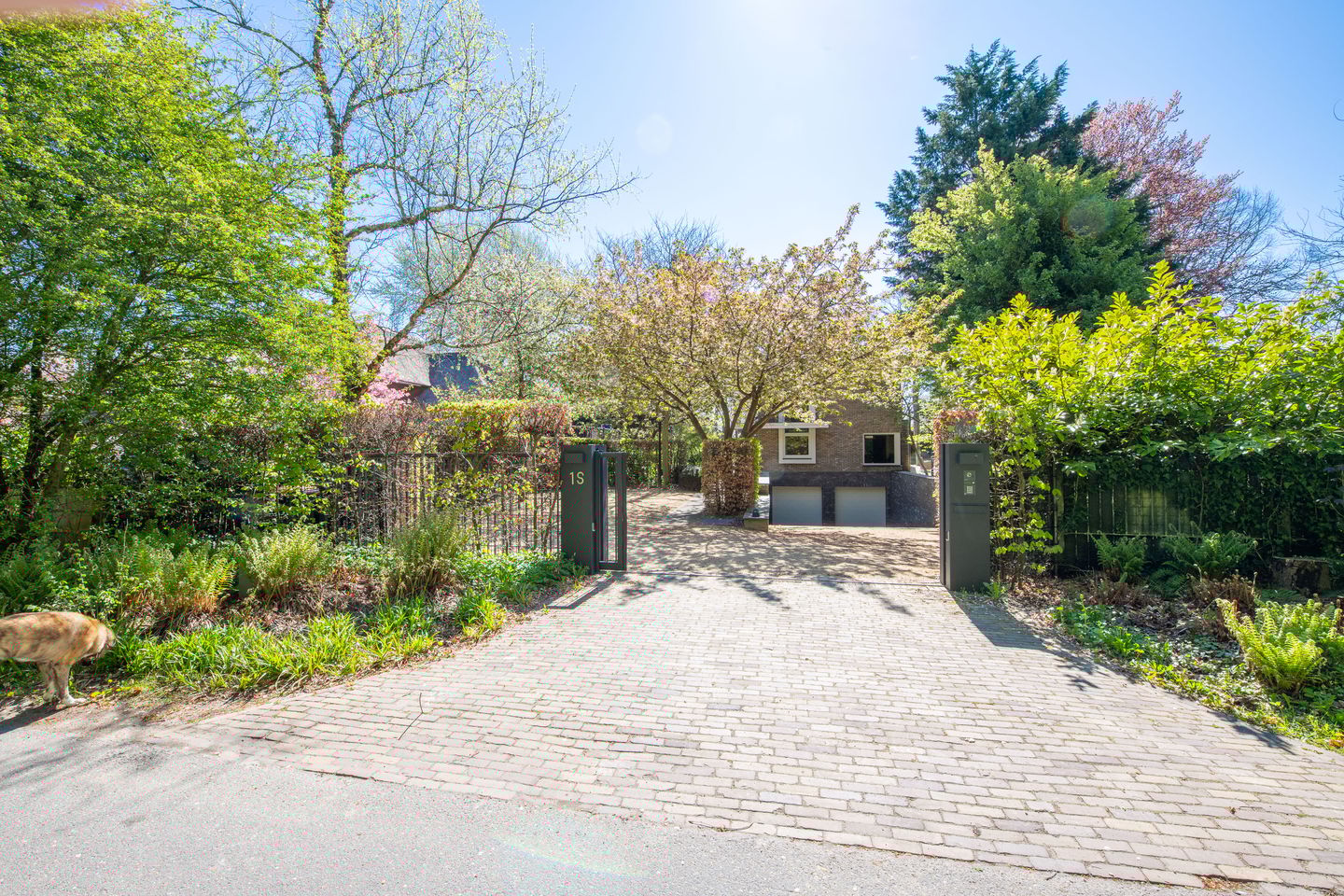 Foto 5 van Duinweg 1-S