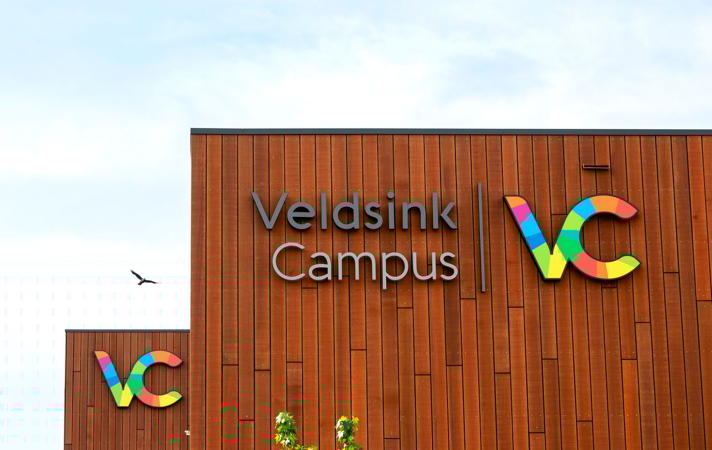 View photo 2 of De Pinckart 45