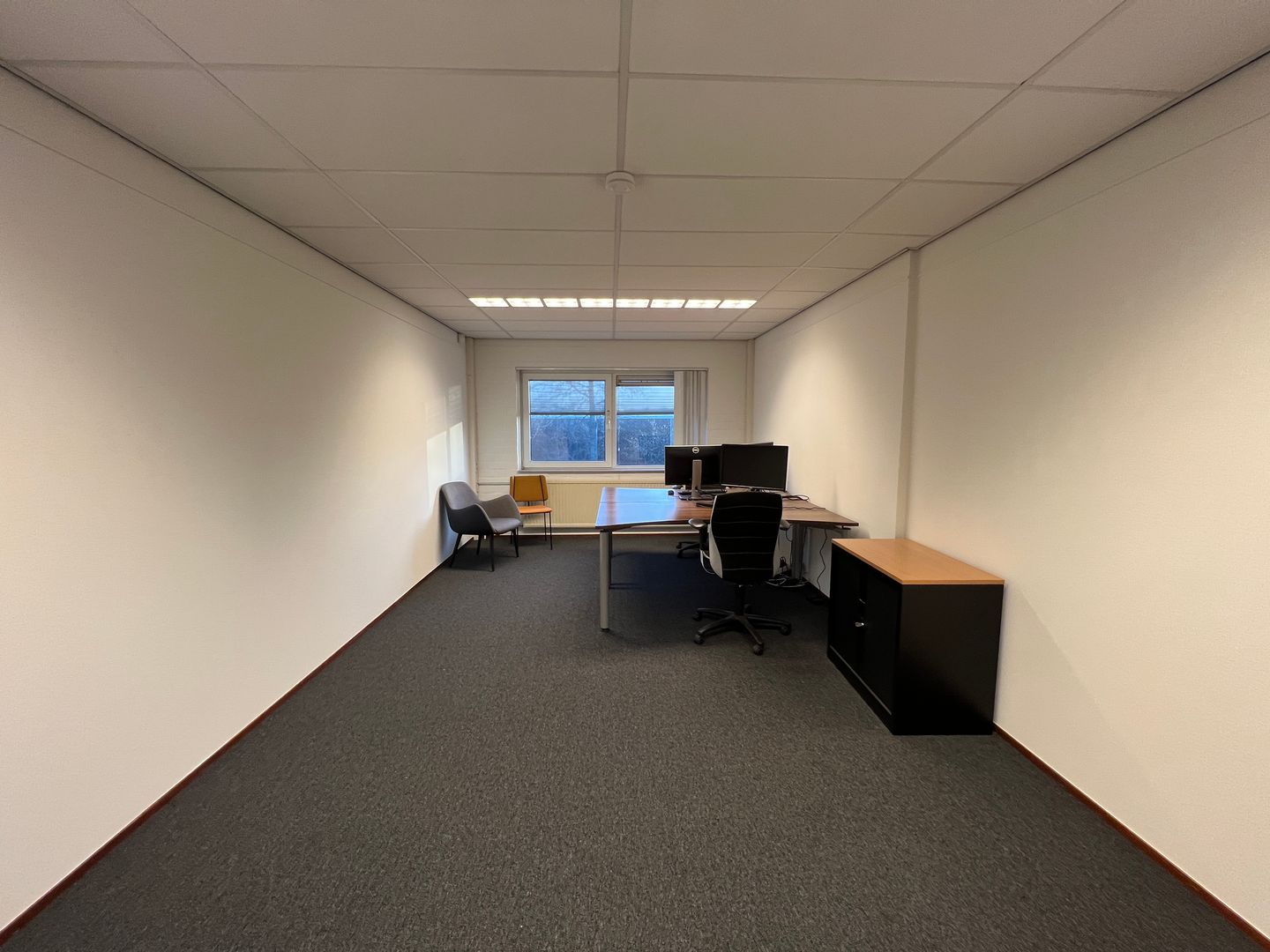 View photo 4 of De Pinckart 45