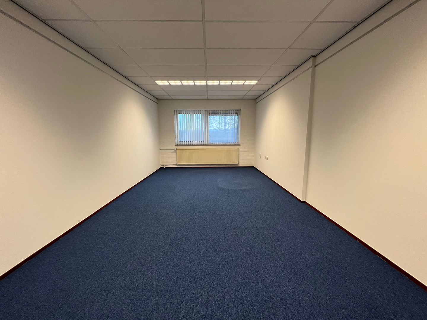 View photo 5 of De Pinckart 45