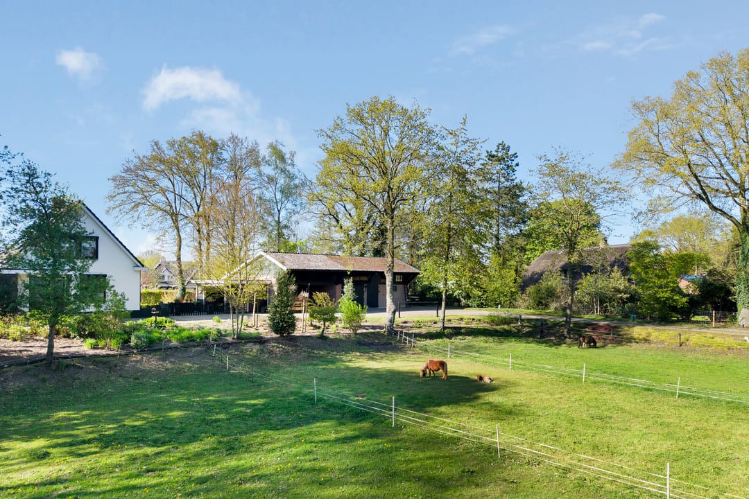 Foto 7 van Glinthaar 5