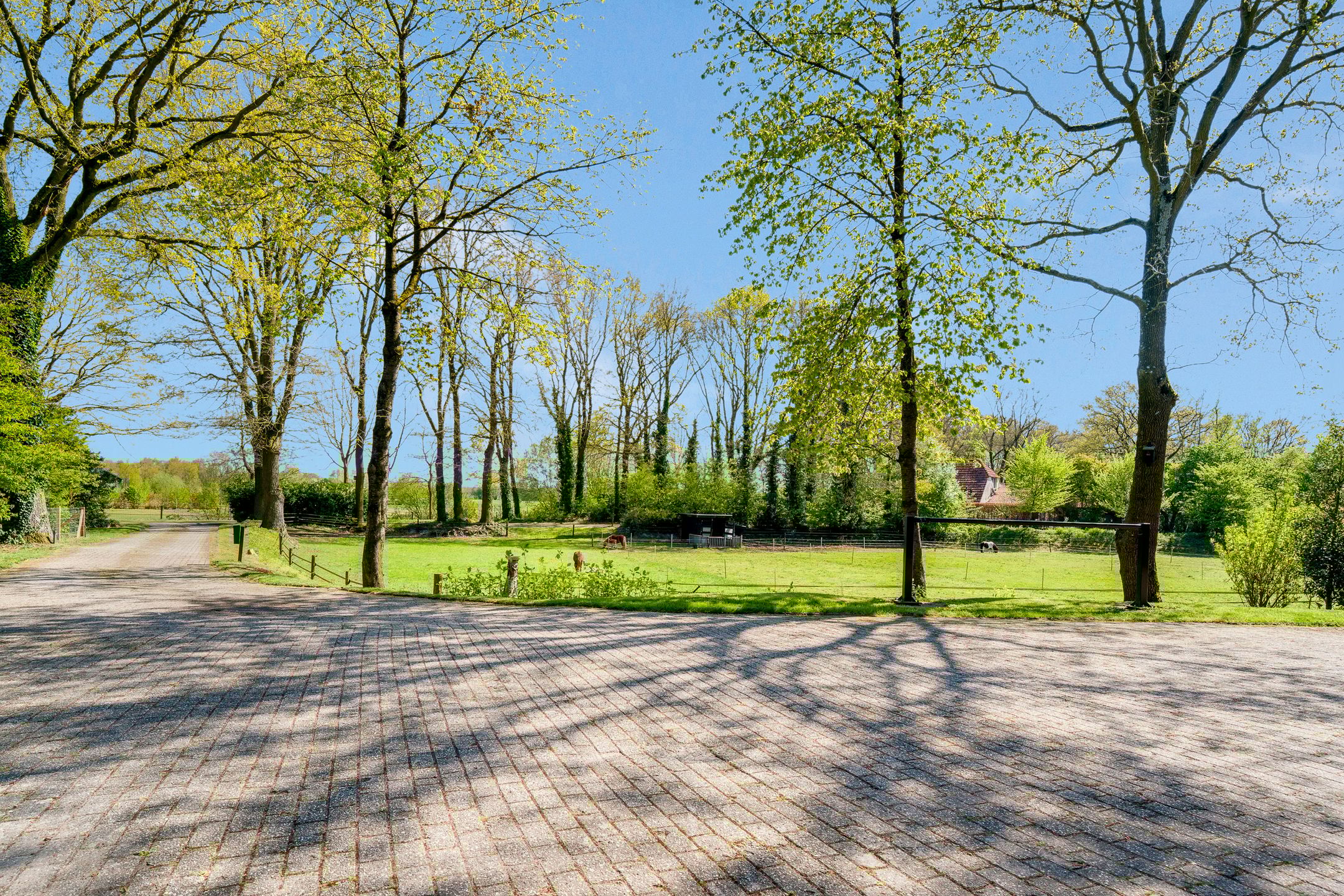 Foto 18 van Glinthaar 5