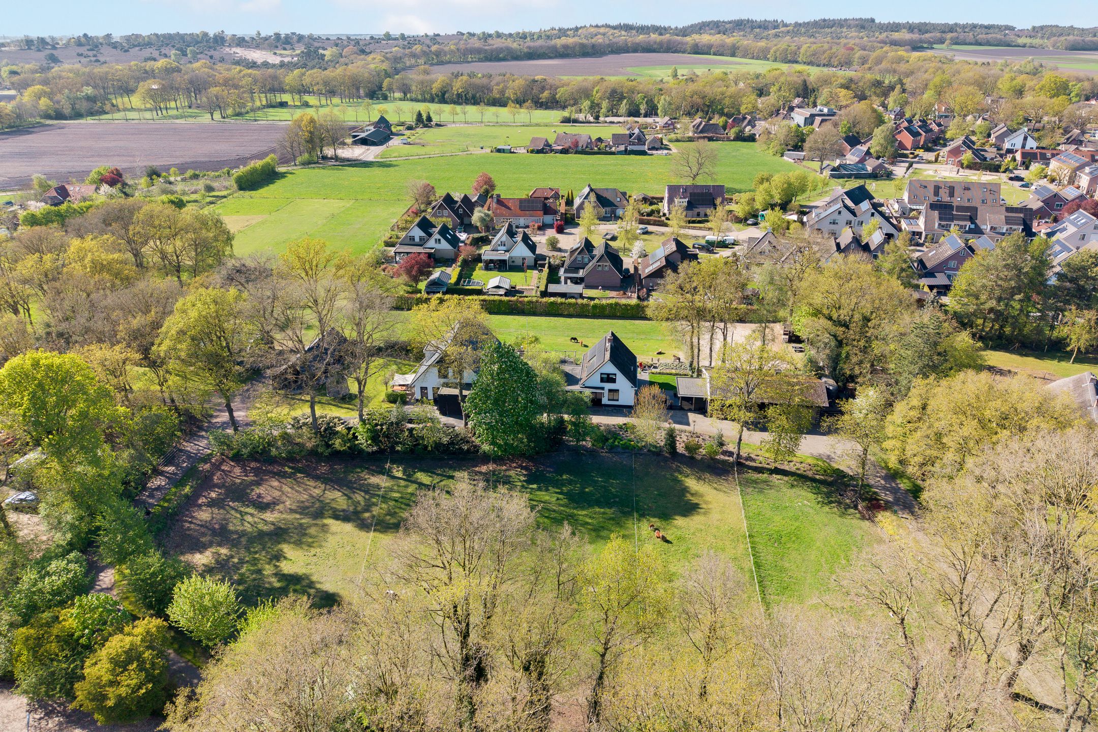 Foto 21 van Glinthaar 5