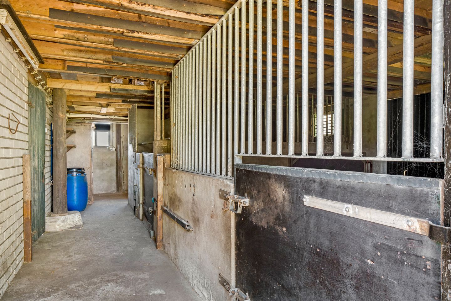 Foto 59 van Glinthaar 5