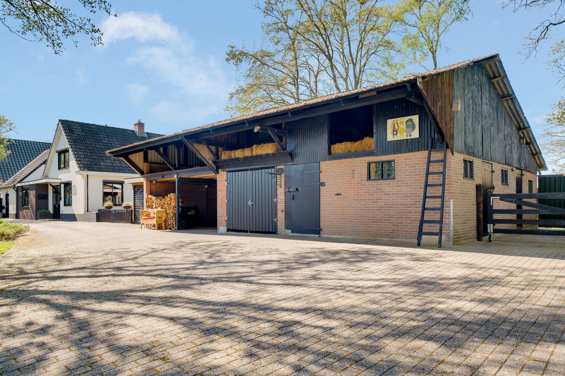 Foto 9 van Glinthaar 5