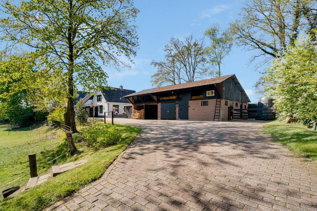 Foto 67 van Glinthaar 5