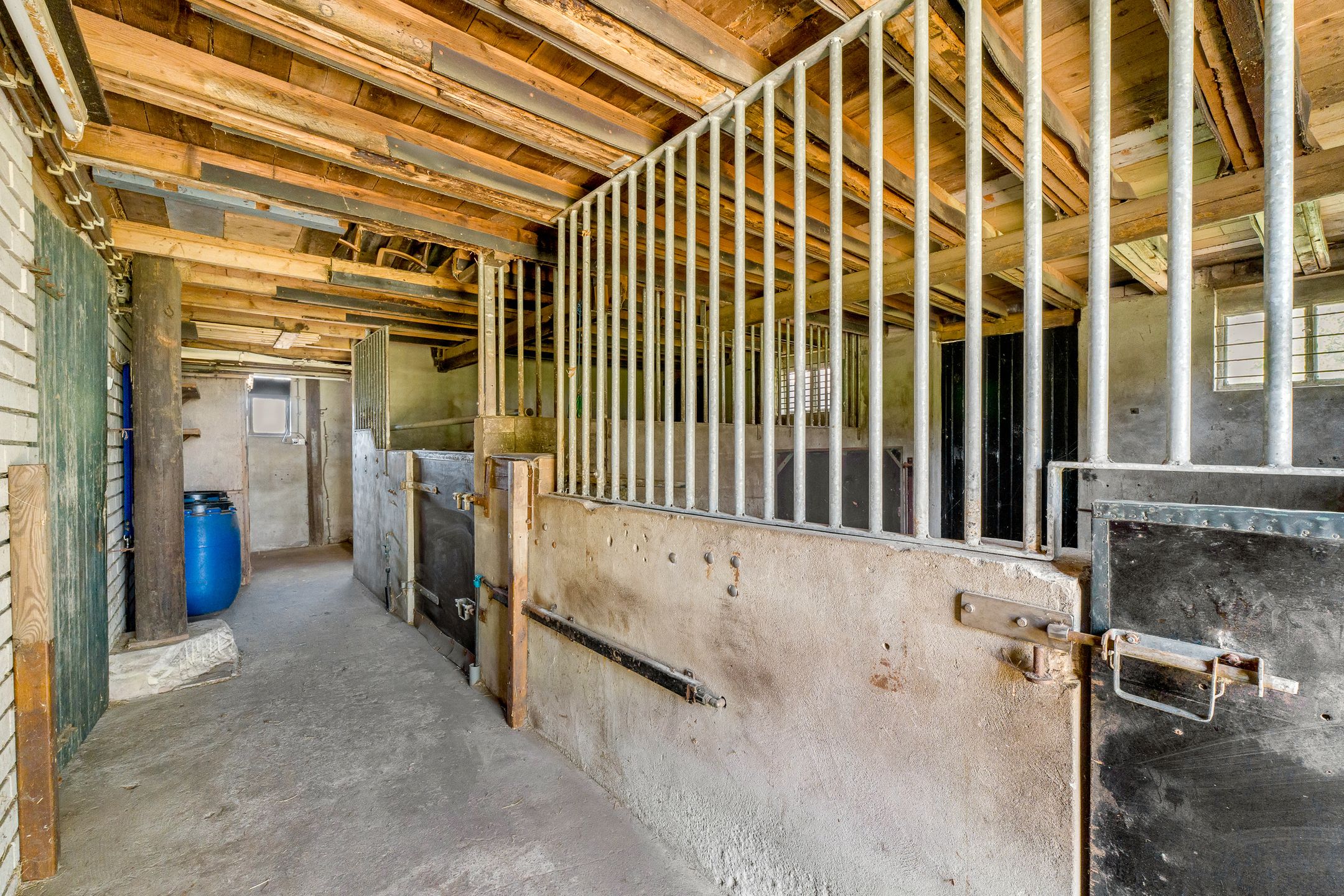 Foto 60 van Glinthaar 5