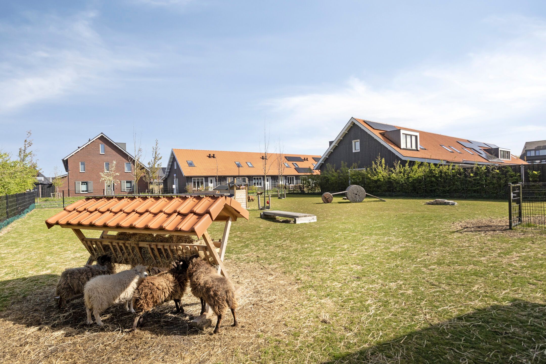 Photo 3 of Het Schild 26