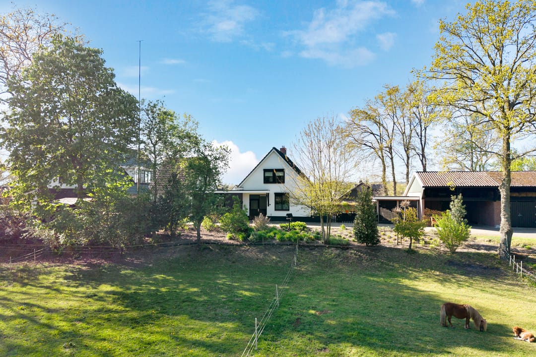 Foto 23 van Glinthaar 5