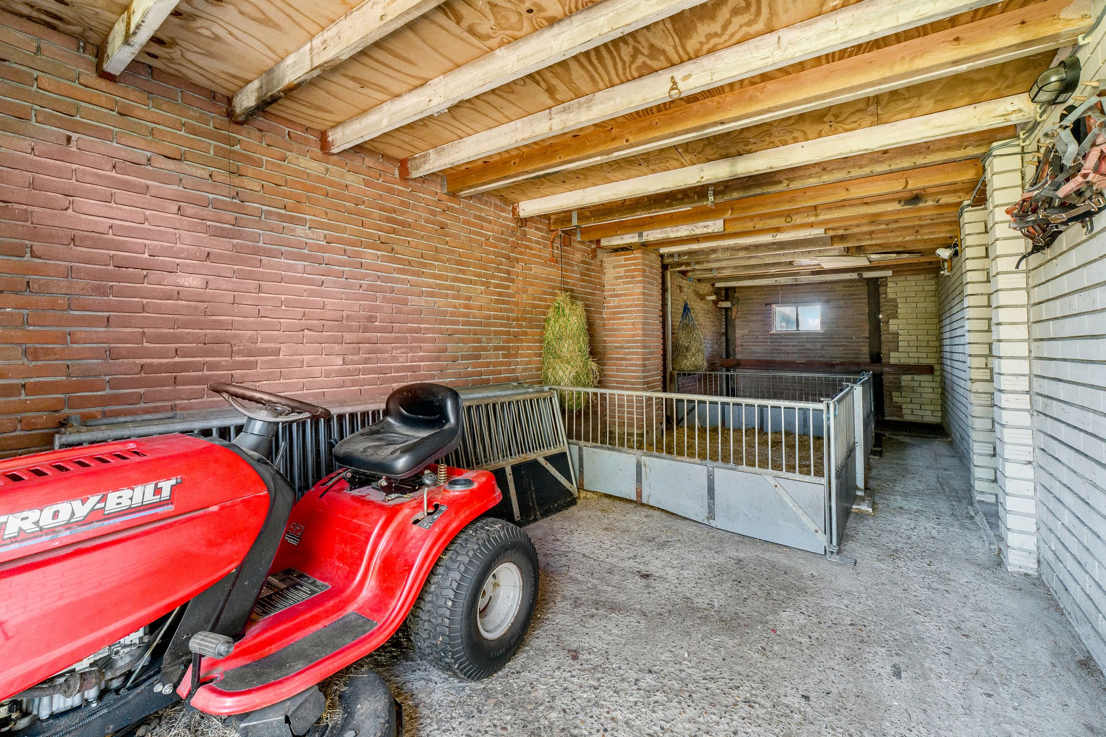 Foto 57 van Glinthaar 5