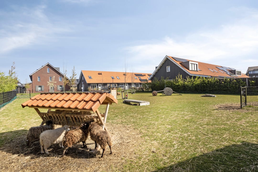 Photo 56 of Het Schild 26