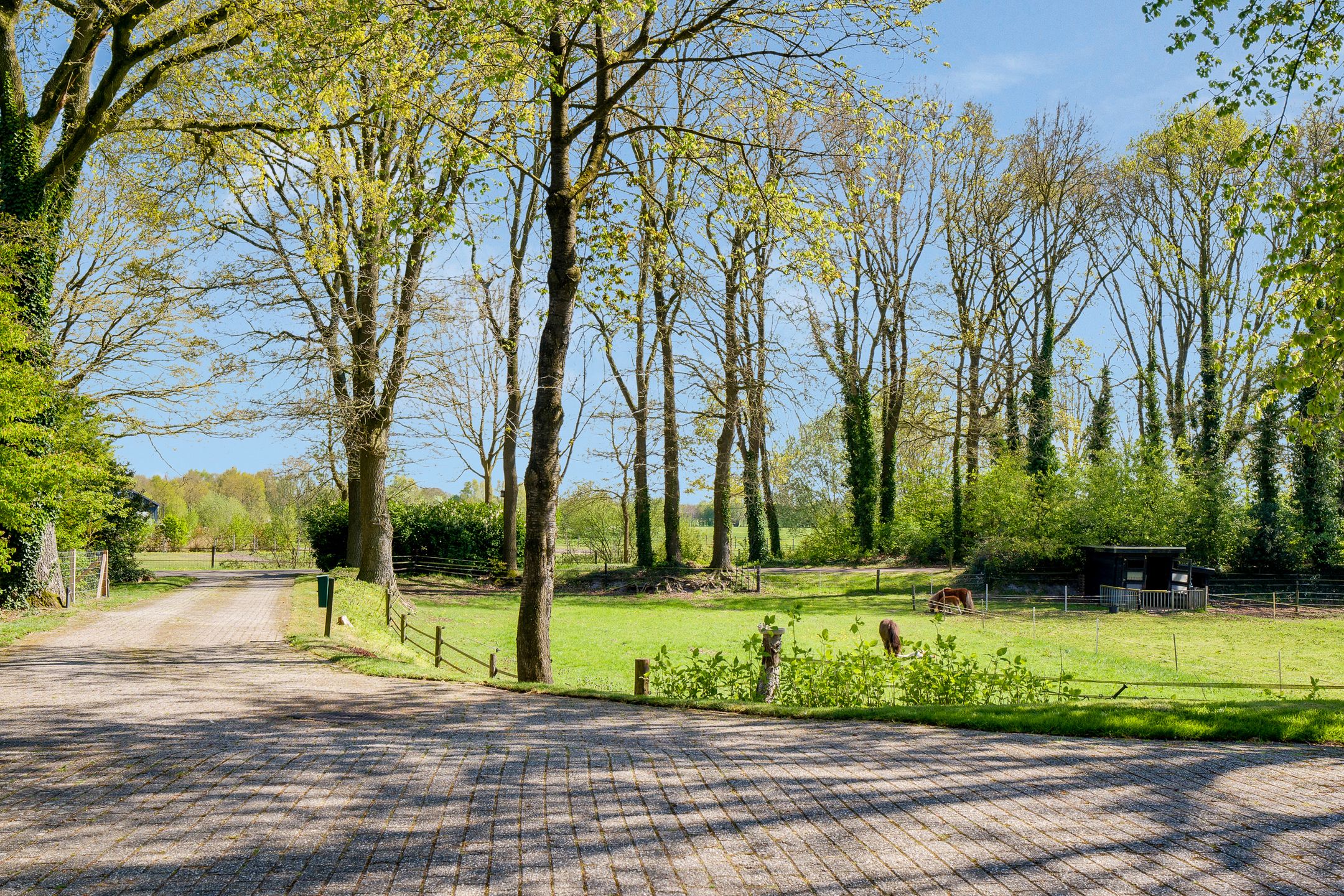 Foto 66 van Glinthaar 5