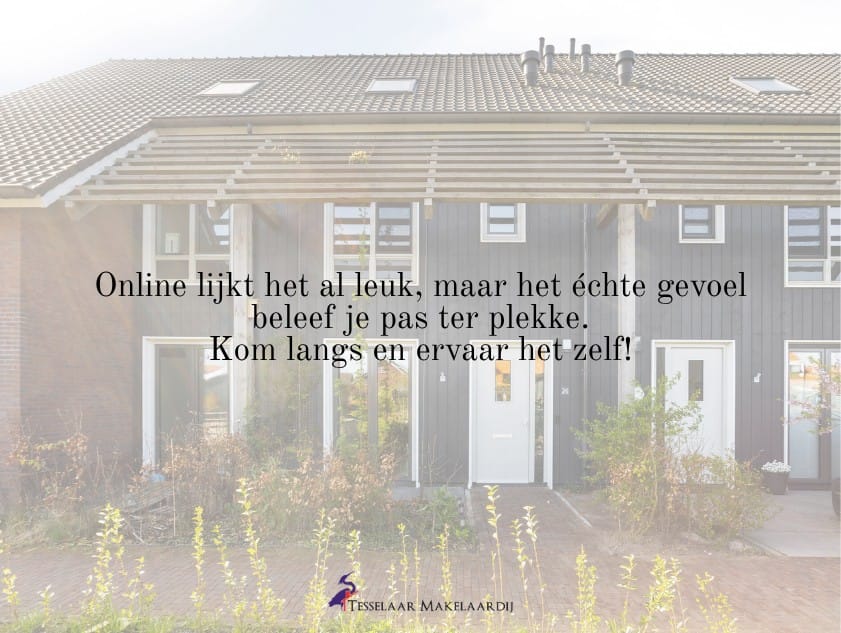 Photo 65 of Het Schild 26