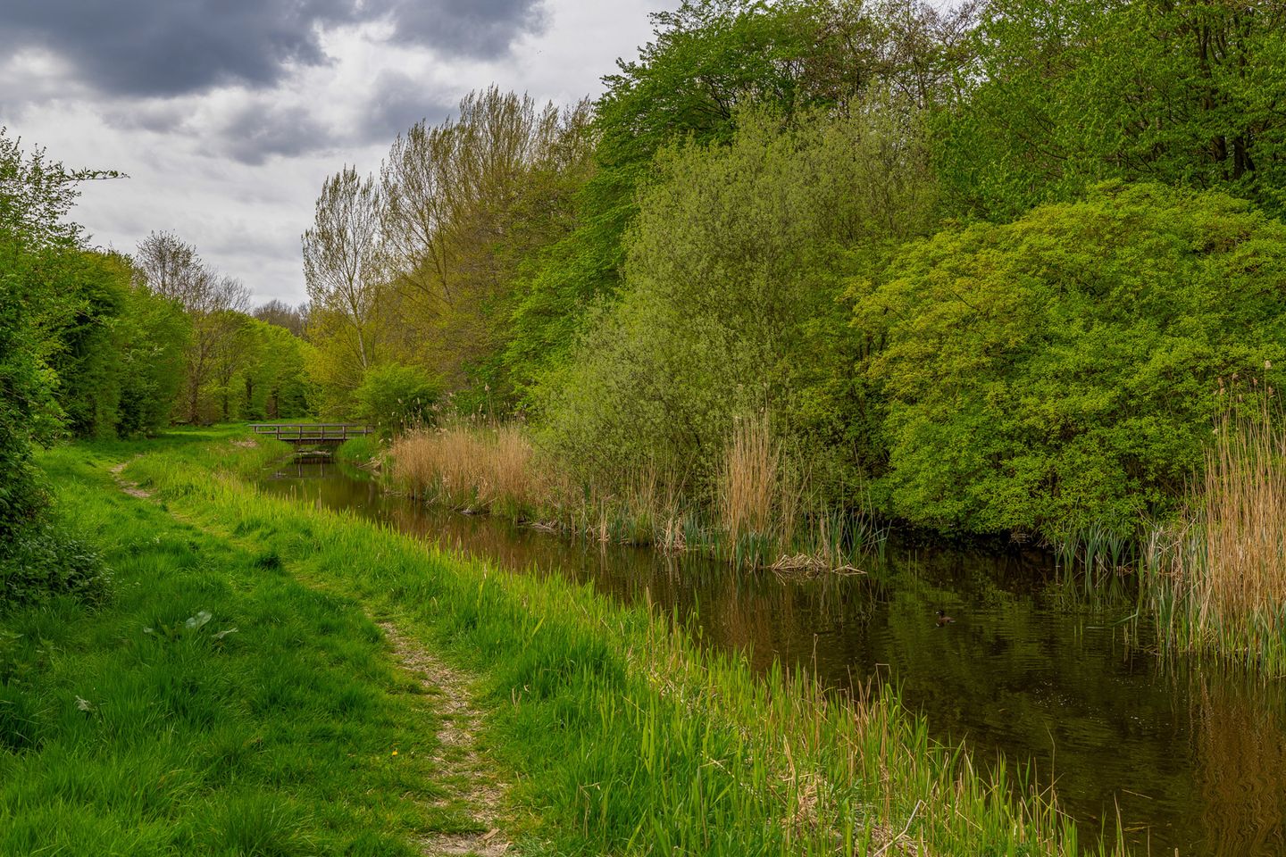 Foto 35 van Willem de Jagerstraat 14