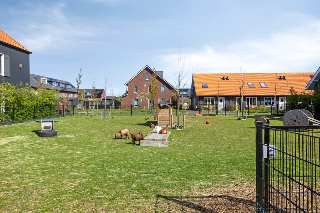 Photo 61 of Het Schild 26