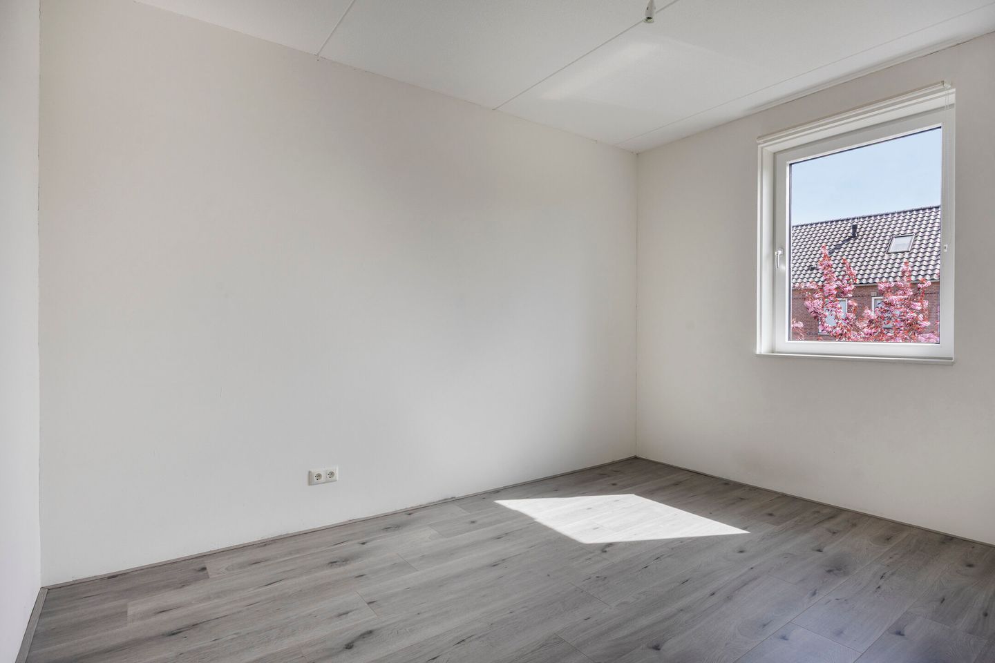 Foto 20 van Baas en Domburgstraat 31