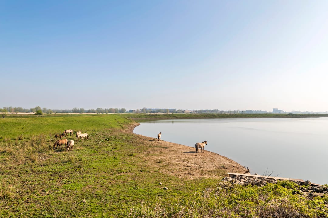 Photo 11 of Kweldam