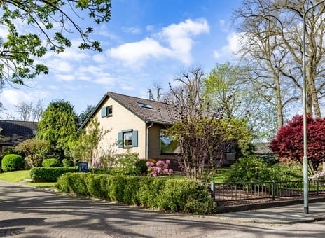 Sterrenbos thumbnail