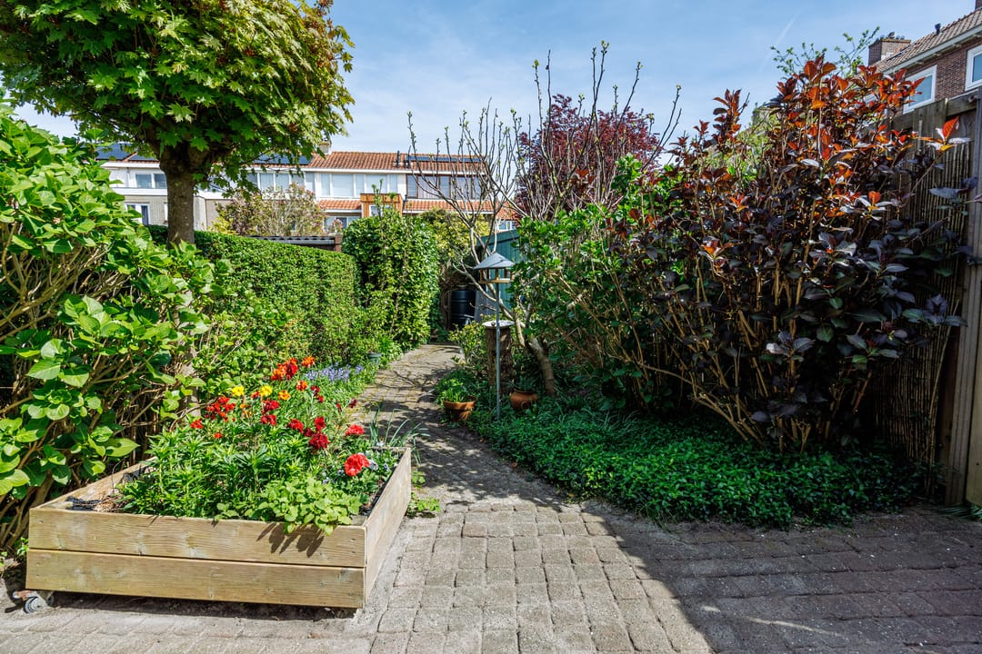 Foto 17 van Tak van Poortvlietstraat 8