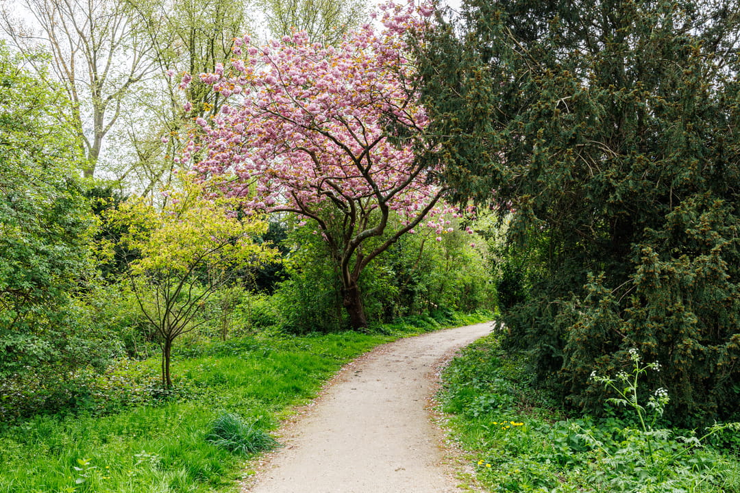 Foto 38 van Tak van Poortvlietstraat 8