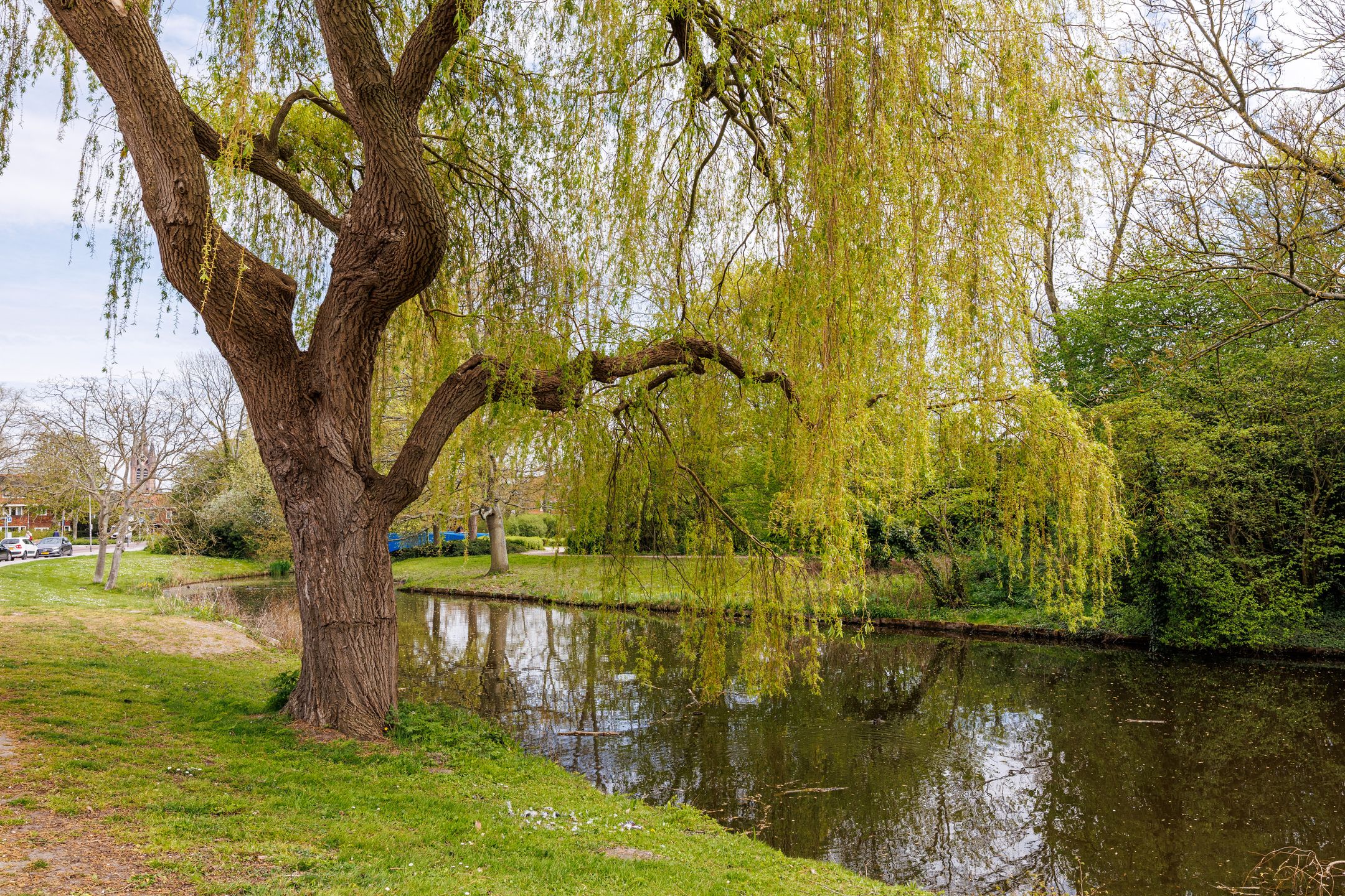 Foto 39 van Tak van Poortvlietstraat 8