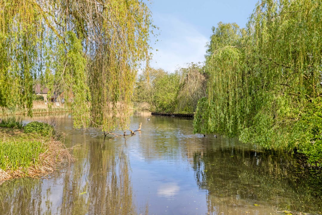 Foto 31 van Vlasweel 7