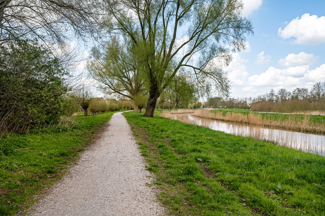 Photo 46 of Schuur 87