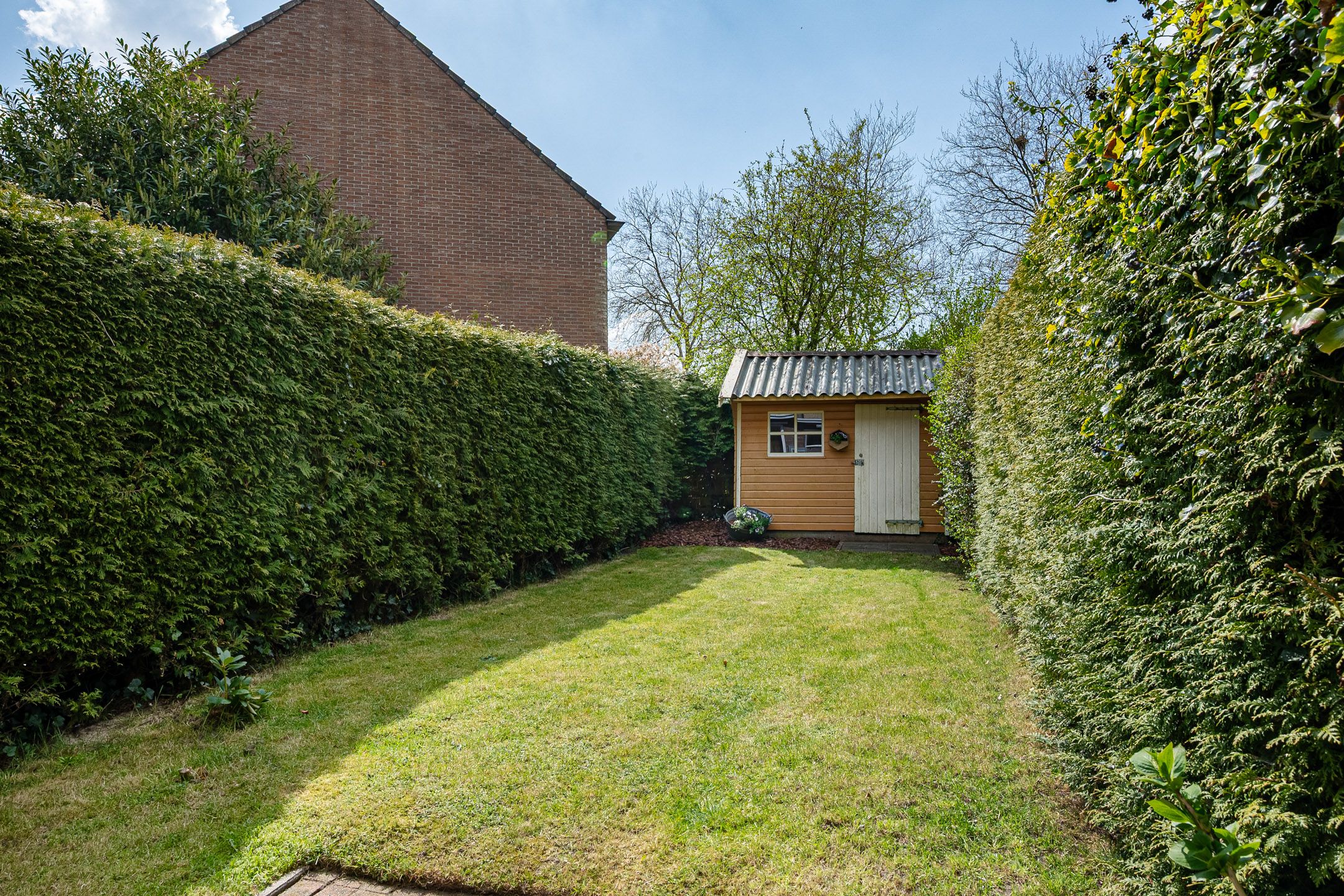 Photo 39 of Schuur 87