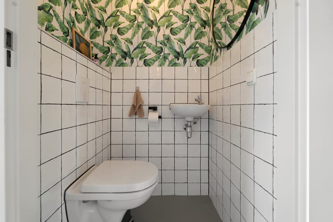 Foto 11 van Wolfpad 2