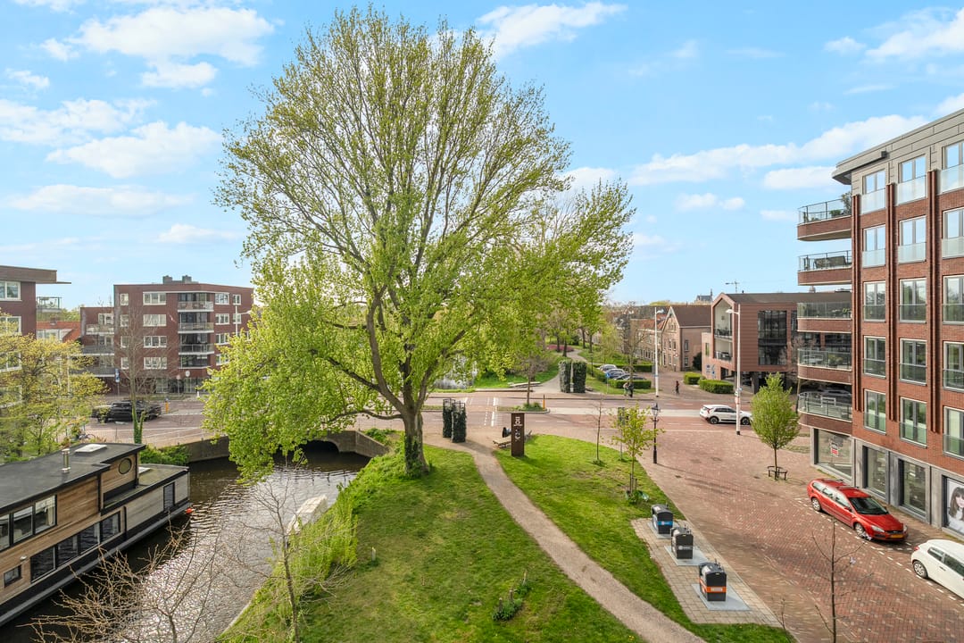 Foto 47 van Wolfpad 2