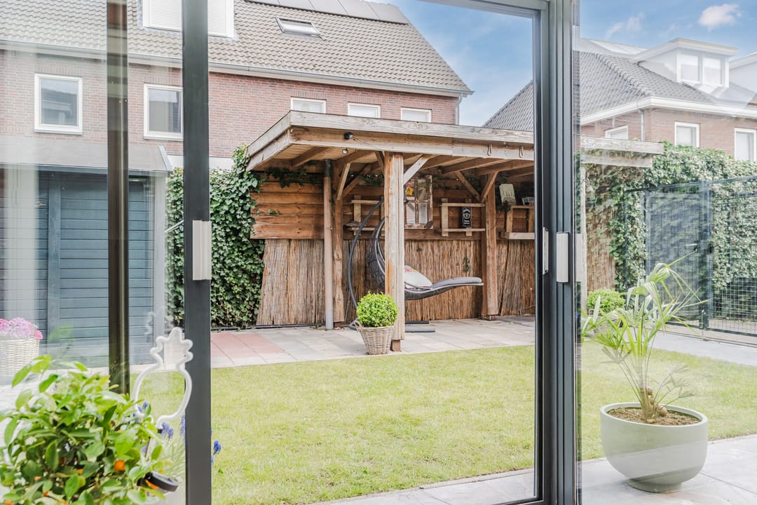 Foto 23 van Teunisbloem 20