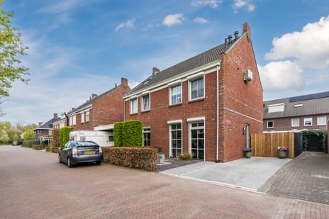 Teunisbloem thumbnail