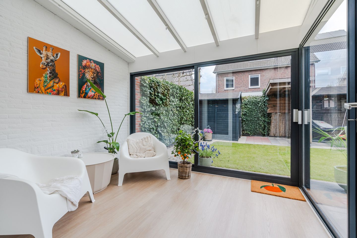 Foto 20 van Teunisbloem 20