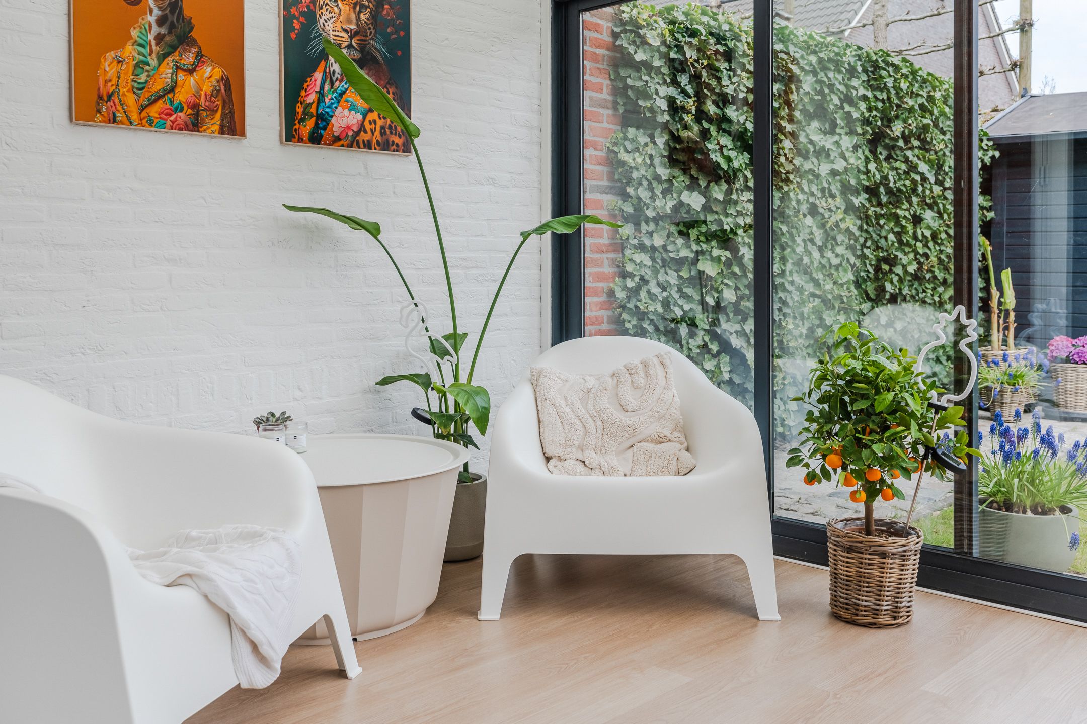 Foto 21 van Teunisbloem 20