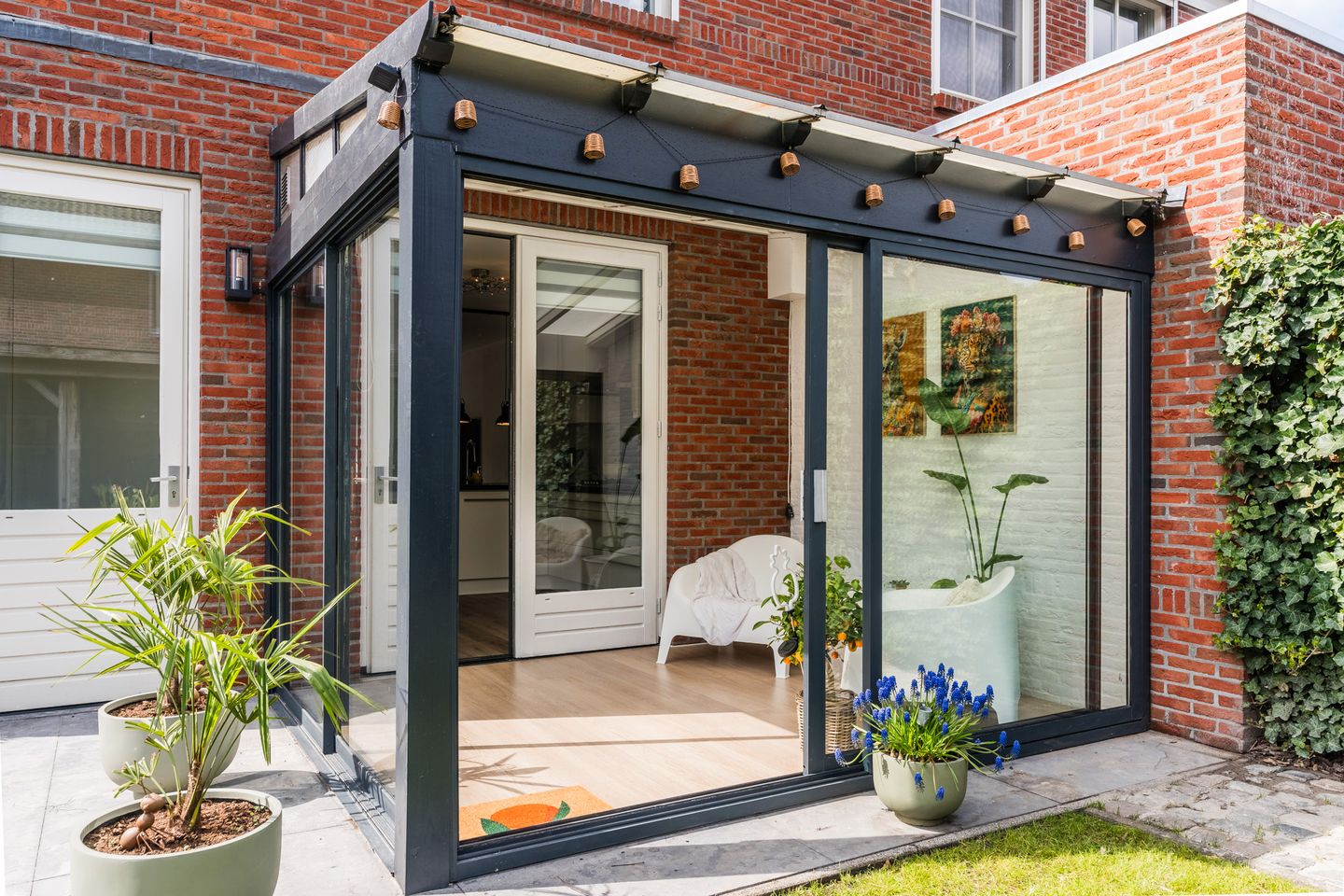 Foto 40 van Teunisbloem 20