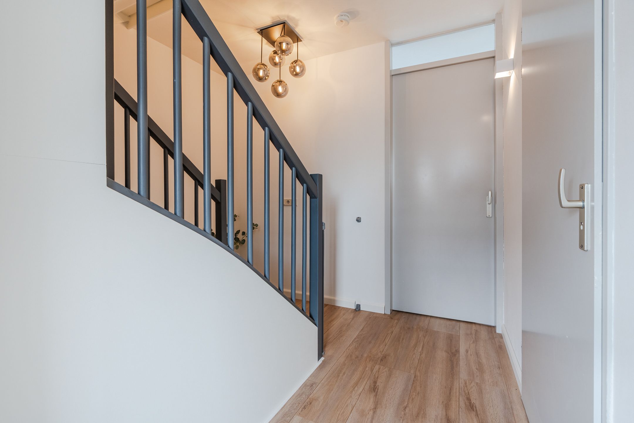 Foto 27 van Teunisbloem 20