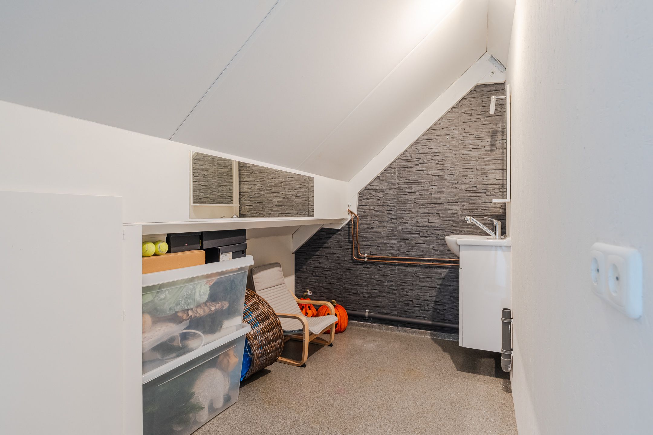 Foto 36 van Teunisbloem 20