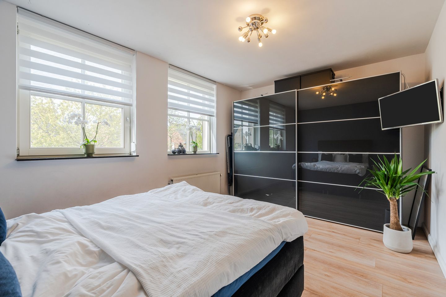 Foto 29 van Teunisbloem 20