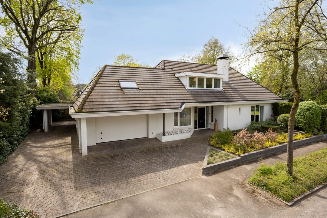 Foto 1 van Zilvermos 2