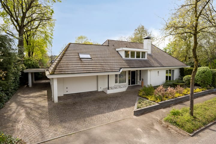 Zilvermos 2 main image